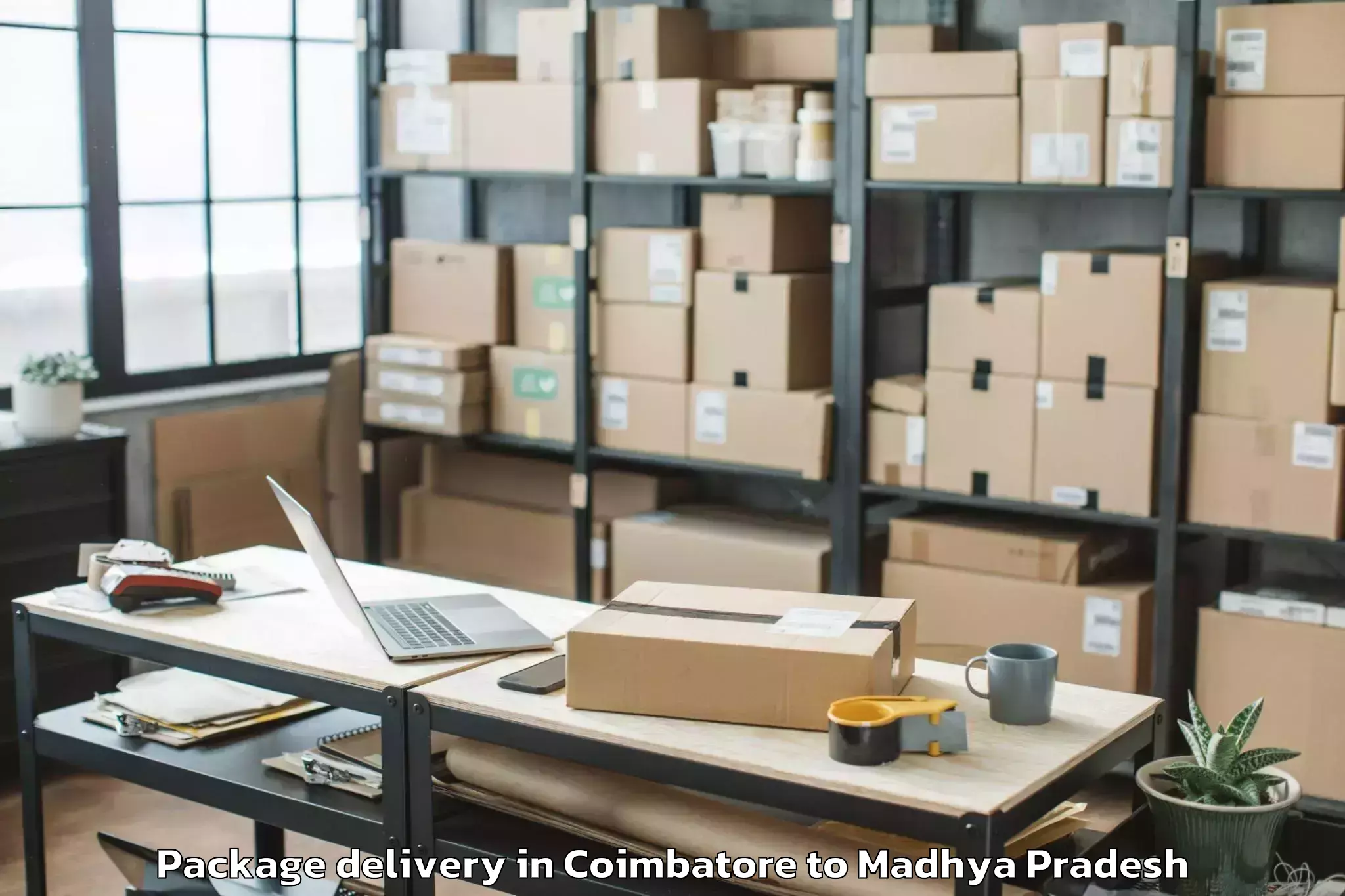 Professional Coimbatore to Mhow Package Delivery